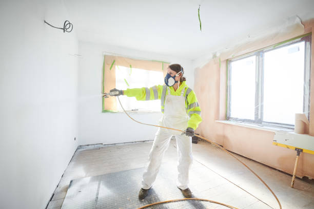 Warren, MN Mold Removal Pros