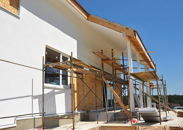 Best Post-Construction Mold Inspection  in Warren, MN